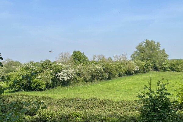 Land van Cuijk