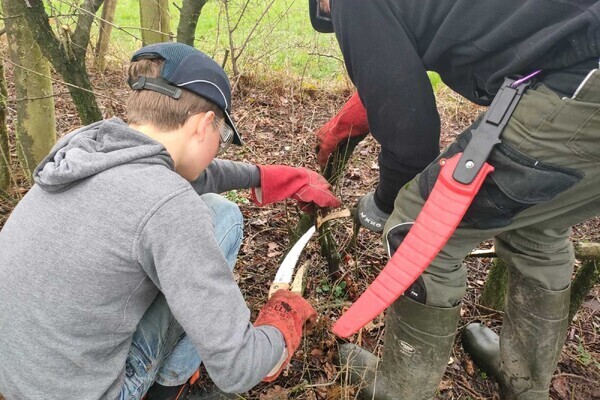 Maasheggenvlechten 2025-2026 en plantdag op de Brembroeken