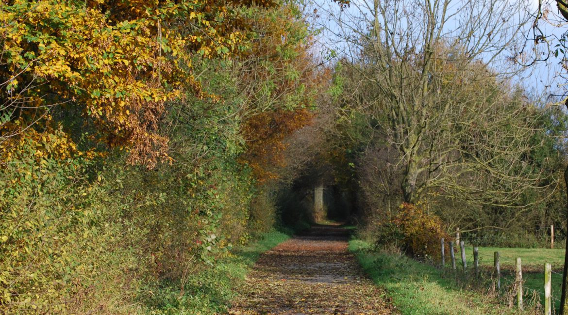 Lekker weg deze herfst, nu de dagen kouder en korter worden.