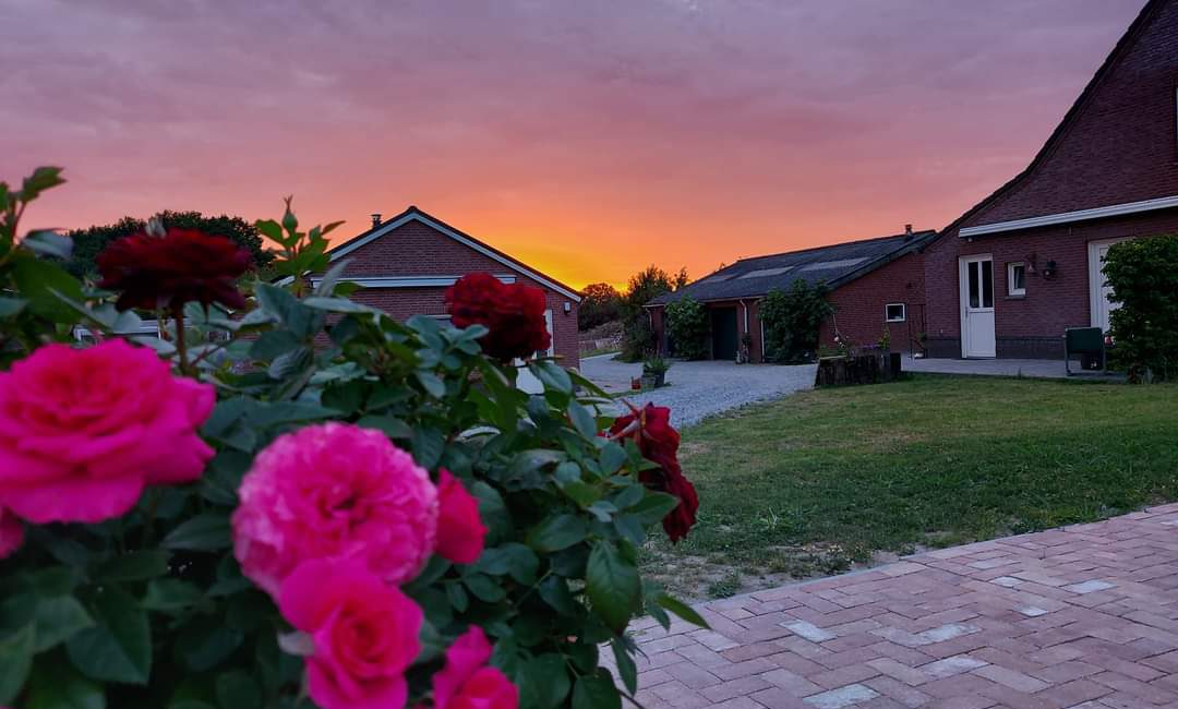 Heerlijk genieten in het land van Cuijk. Nu met aantrekkelijke korting een verblijf in onze verhuuraccommodaties of onze camping