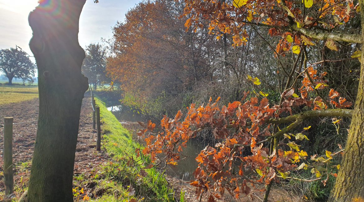 Even lekker weg, genieten van de natuur en alle rust