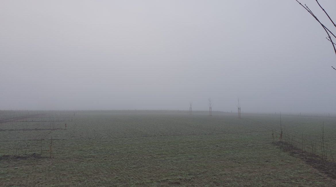 voortgang camping De Brembroeken