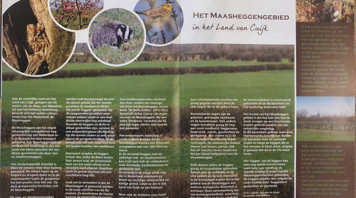 Artikel Keigaaf Brabant over de Maasheggen