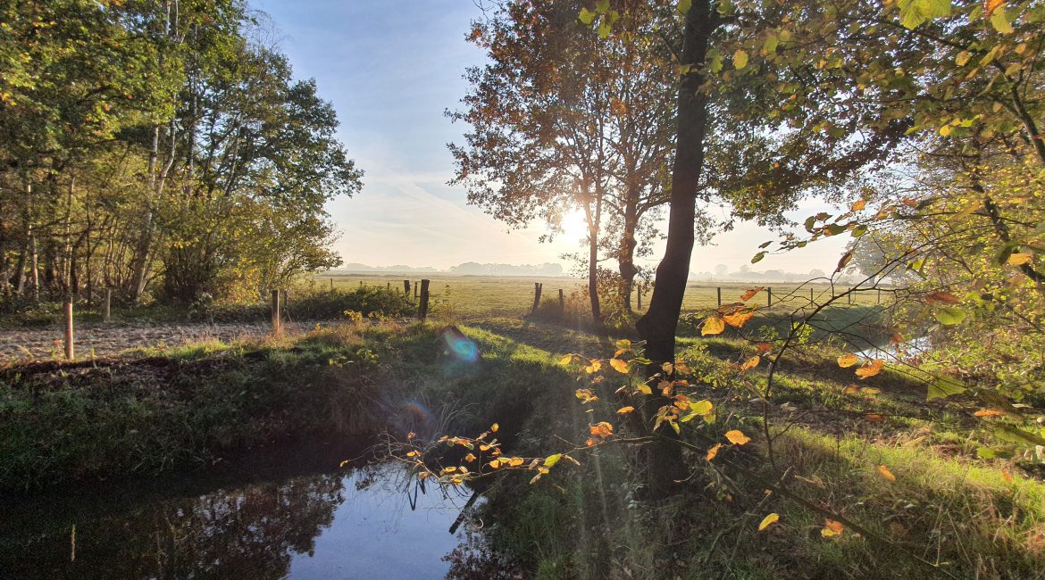 Toe aan een ontspannende vakantie, lekker genieten van de rust en natuur in de Maasheggen