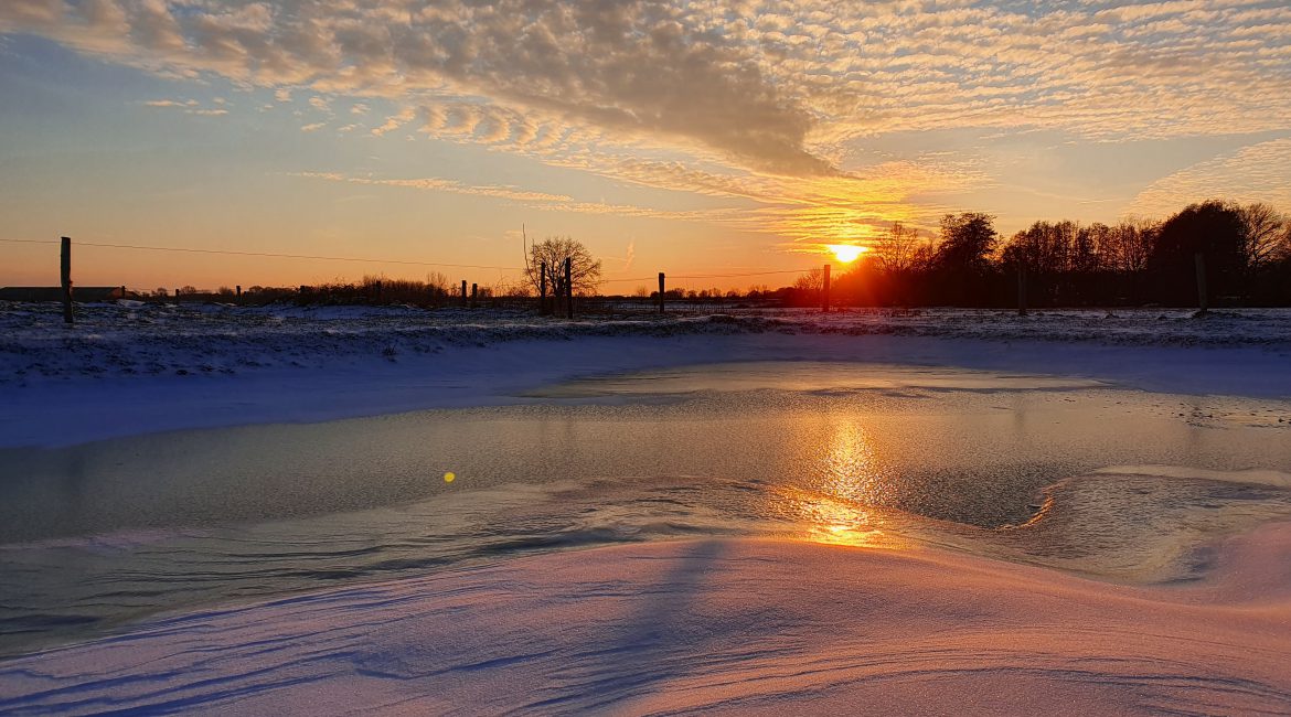 Wilt u nog lekker genieten van de Maasheggengebied in de sneeuw. Kom naar de Brembroeken en geniet naar onze prachtige omgeving.